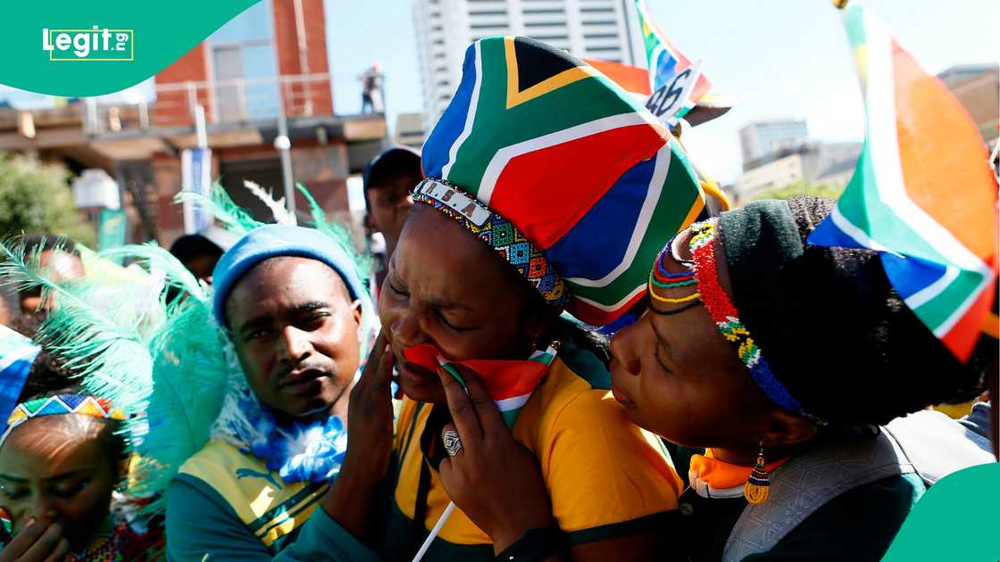 South Africa, Rugby, Springboks, Johannesburg, World Cup. South Africa, Rugby, Springboks, Johannesburg, World Cup.