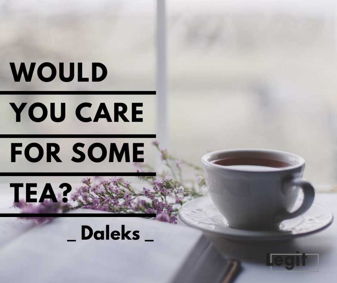 Daleks quotes Daleks quotes