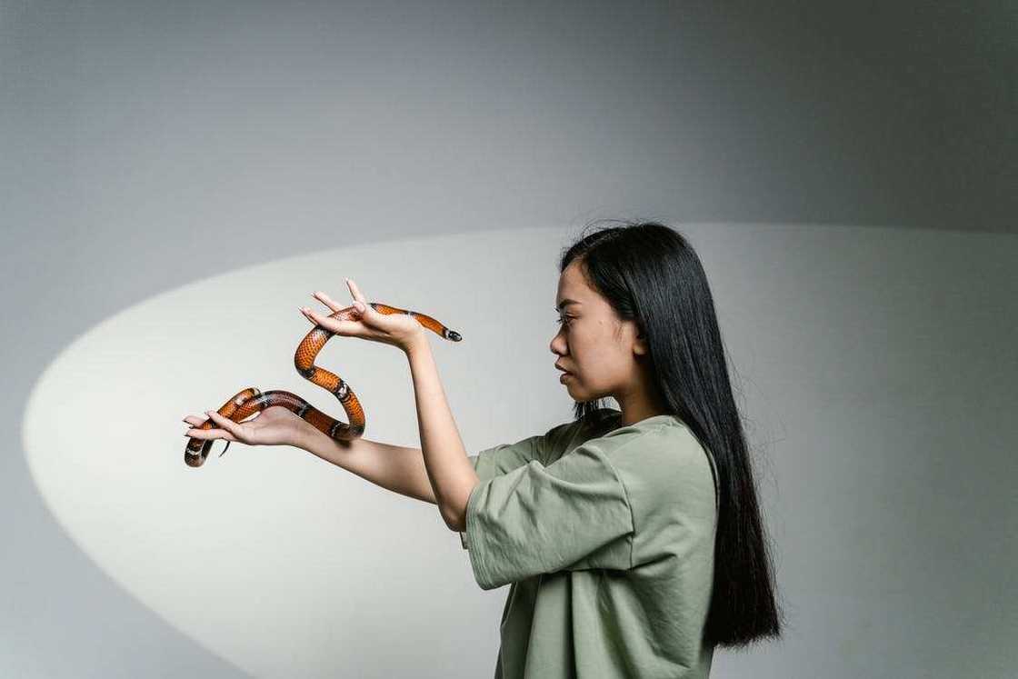 cute snake names cute snake names