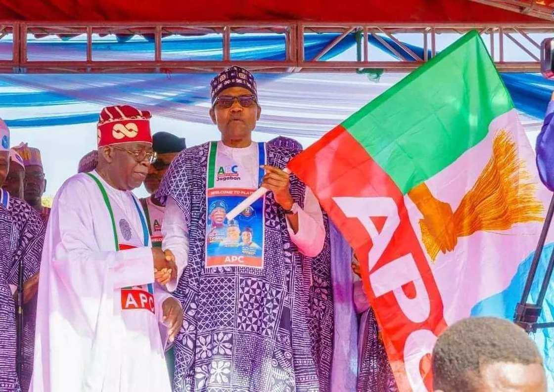 Tinubu, Buhari Tinubu, Buhari