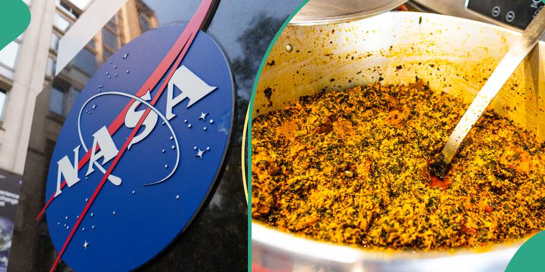 NASA onboards Egusi to space