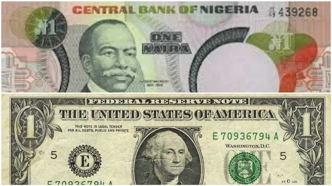 A collage of the one naira and 1 dollar notes. Photo source: Gold Prices Today