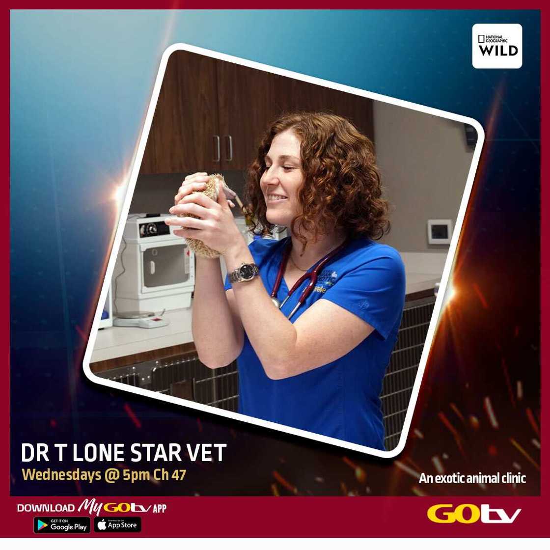 Discover great movies and shows on GOtv Discover great movies and shows on GOtv