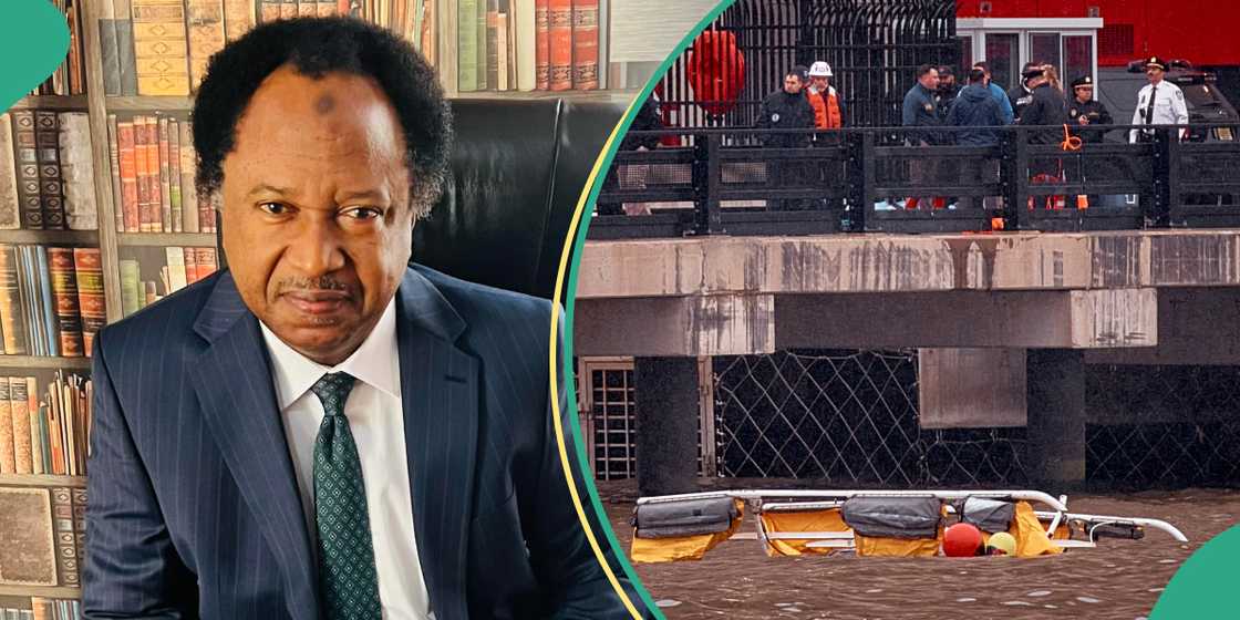 Shehu Sani reacts as helicopter crash kills Siemens CEO, his family Shehu Sani reacts as helicopter crash kills Siemens CEO, his family