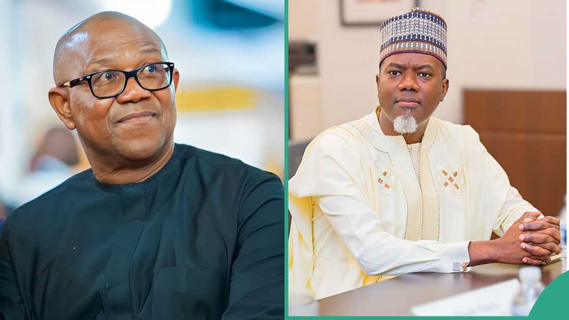 Reno Omokri says Peter Obi is Nigeria’s leading opposition figure