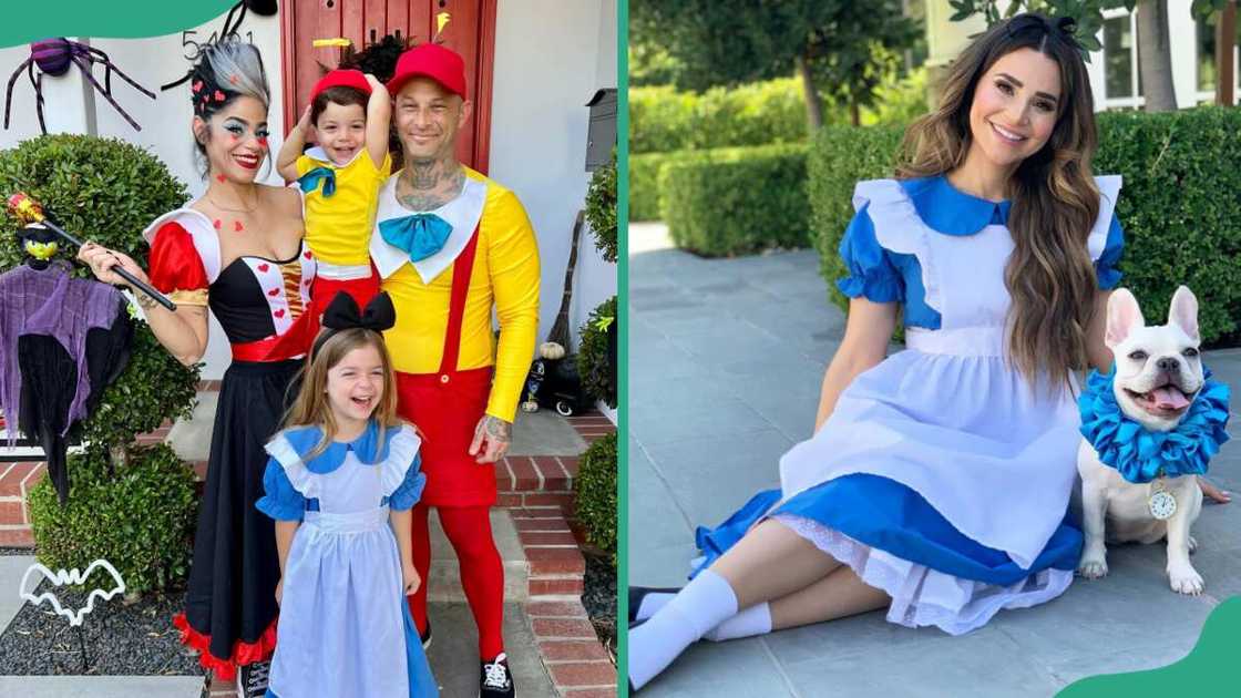 Alice in Wonderland costume Alice in Wonderland costume