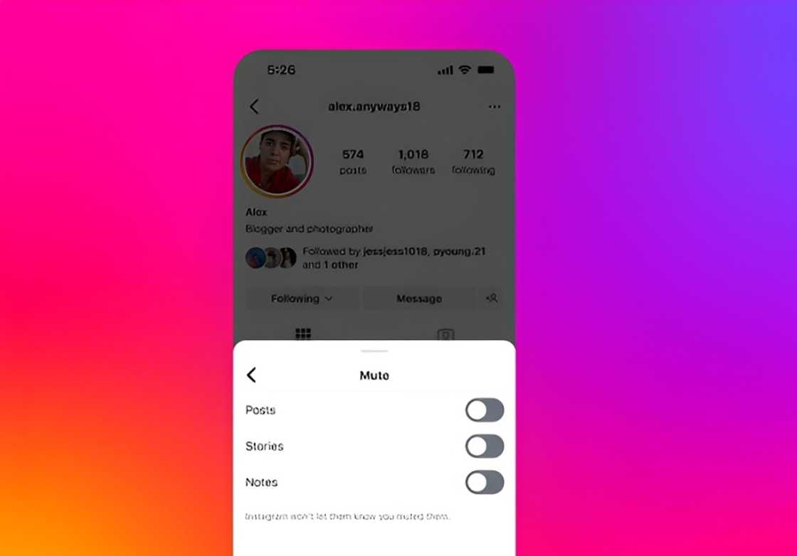 A screenshot of a muted Instagram account A screenshot of a muted Instagram account