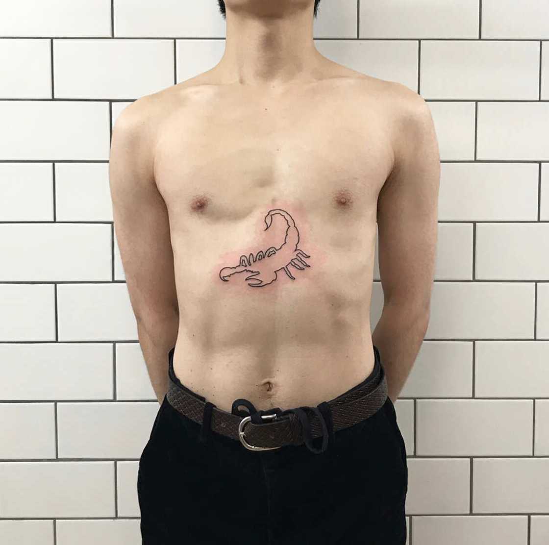 Scorpion outline Scorpion outline