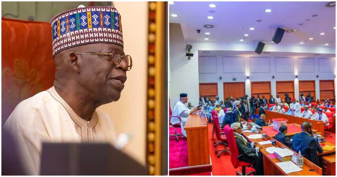 President Tinubu and Senate/ NEDC board/North East Development Commission(NEDC) President Tinubu and Senate/ NEDC board/North East Development Commission(NEDC)