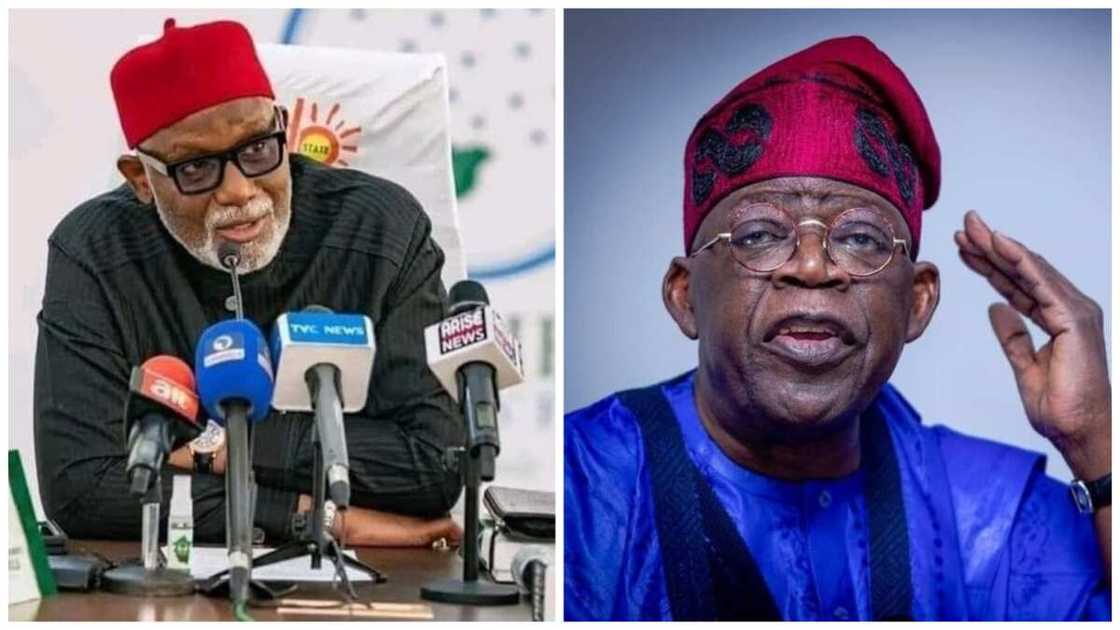 Ondo state governor, Rotimi Akeredolu, 2023 elections, Bola Tinubu, APC