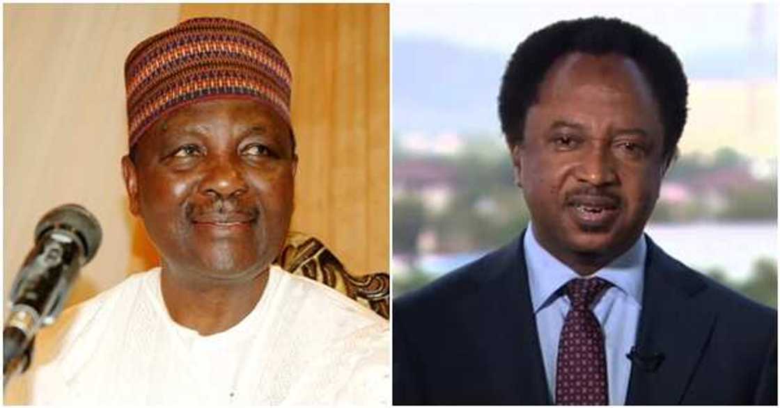 Shehu Sani says Yakubu Gowon did not half of CBN Shehu Sani says Yakubu Gowon did not half of CBN