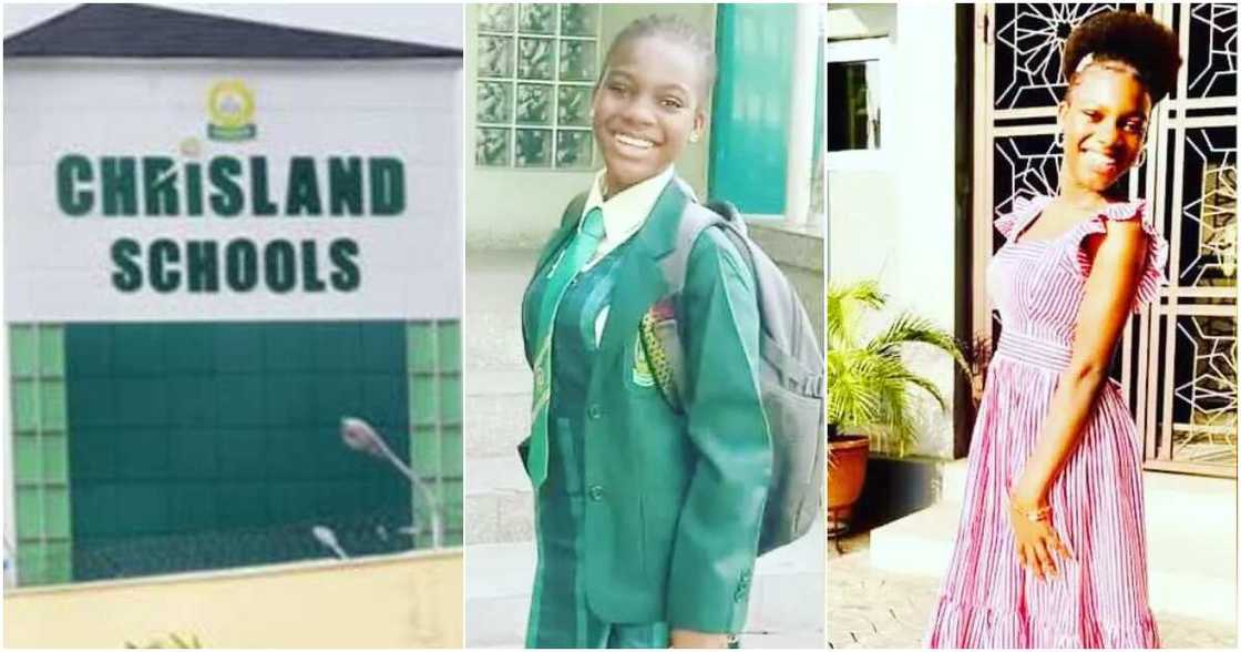 Whitney Adeniran, Chrisland school, Federal High Court in Lagos Whitney Adeniran, Chrisland school, Federal High Court in Lagos