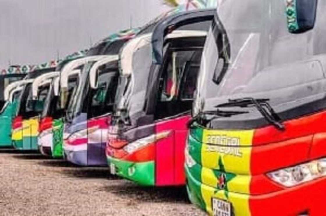 Motoccin Bus 89 Da Aka Yi Amfani Da Su a AFCON Sun Yi Layar Zana Motoccin Bus 89 Da Aka Yi Amfani Da Su a AFCON Sun Yi Layar Zana