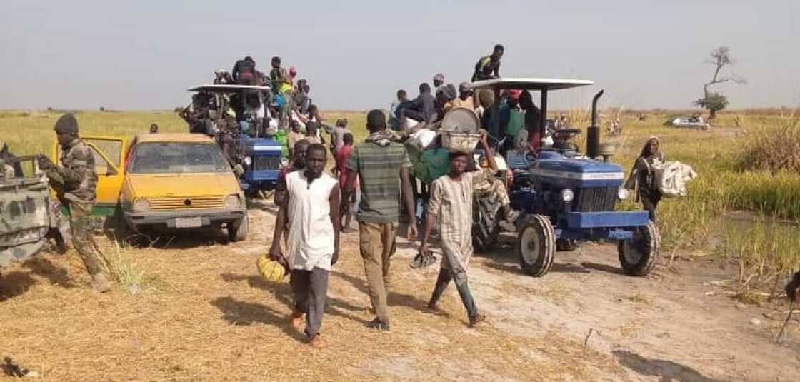 Hotunan sojin Najeriya suna tsaro da taya manoman Zabarmari girbi a gona Hotunan sojin Najeriya suna tsaro da taya manoman Zabarmari girbi a gona