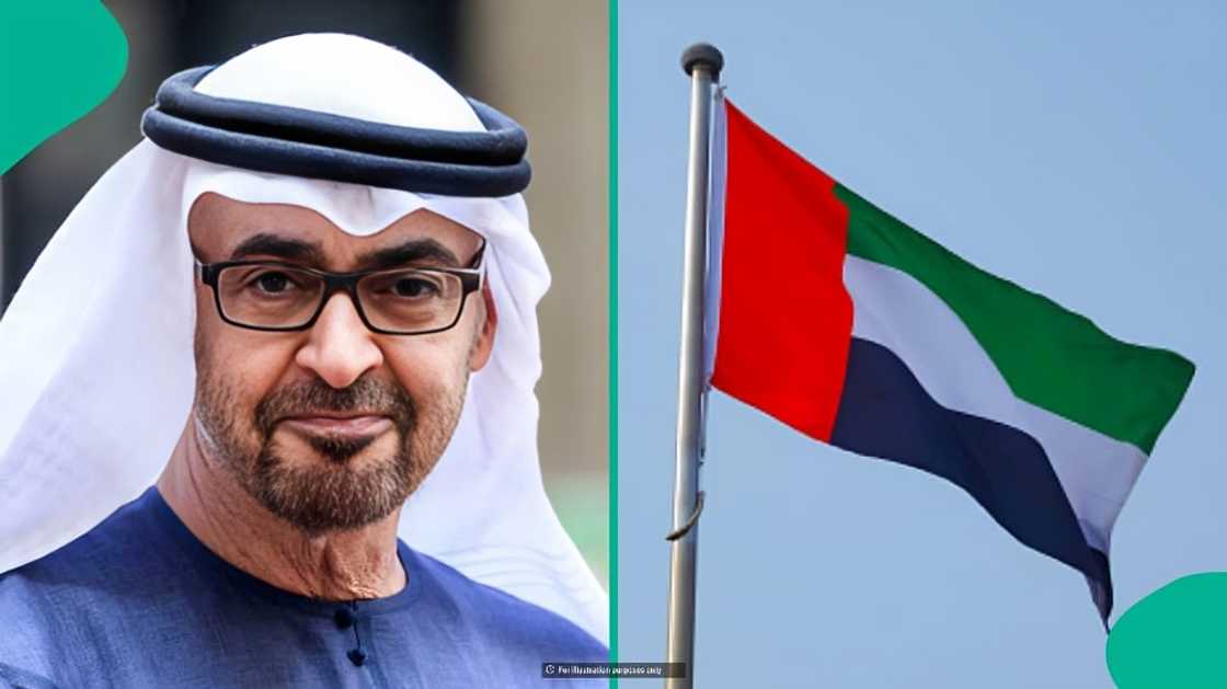 UAE announces financial requirement for foreigners applying for permanent residence