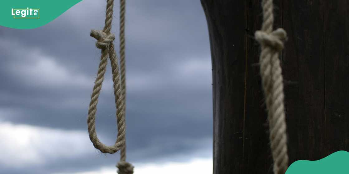 A rope usually used for taking one's life