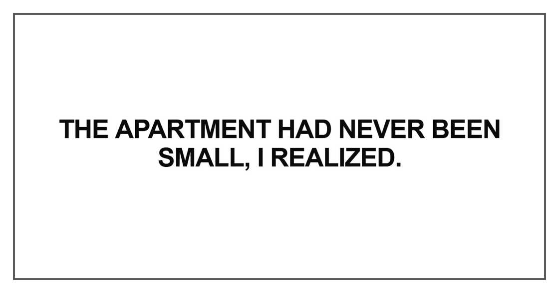 The apartment had never been small, I realized The apartment had never been small, I realized