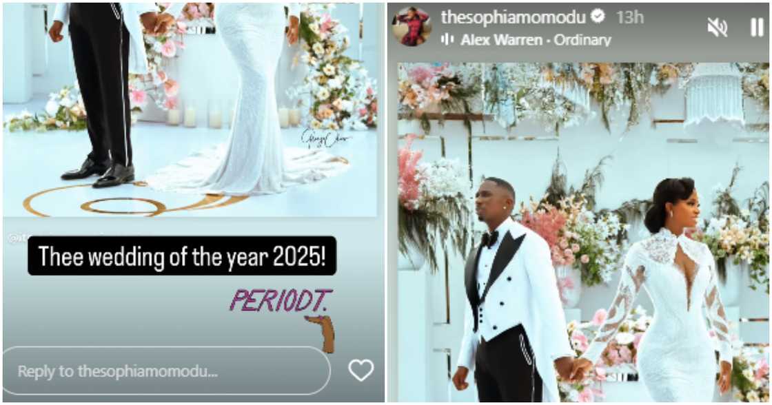 JP2025: Sophia Momodu opens up about Priscilla Ojo and Juma Jux’s wedding JP2025: Sophia Momodu opens up about Priscilla Ojo and Juma Jux’s wedding