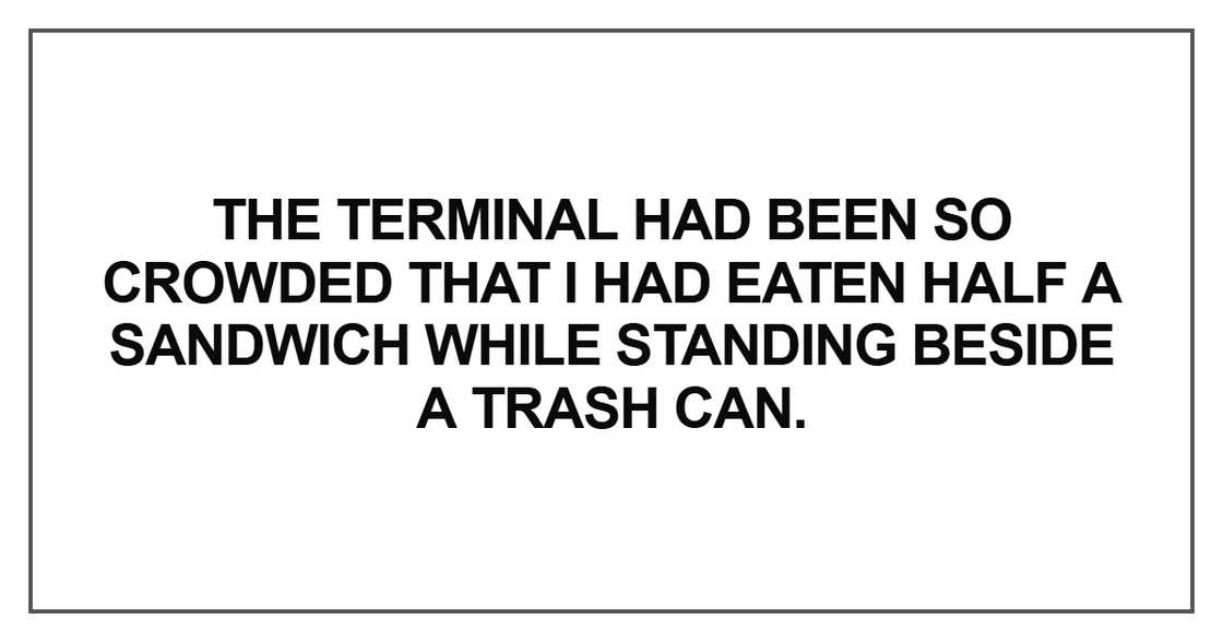 the terminal had been so crowded the terminal had been so crowded