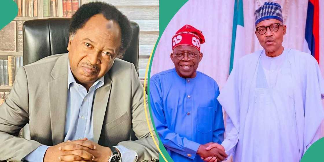 Tinubu, Senator Shehu Sani Tinubu, Senator Shehu Sani