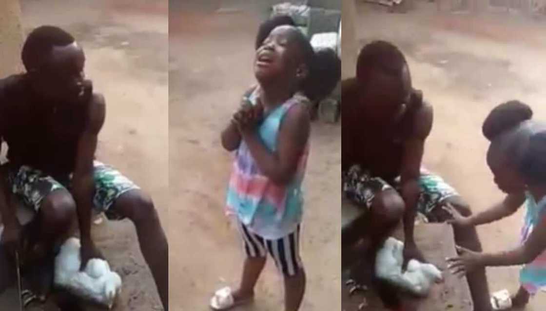 Little girl passionately pleads and begs dad not to kill fowl, video stirs reactions Little girl passionately pleads and begs dad not to kill fowl, video stirs reactions