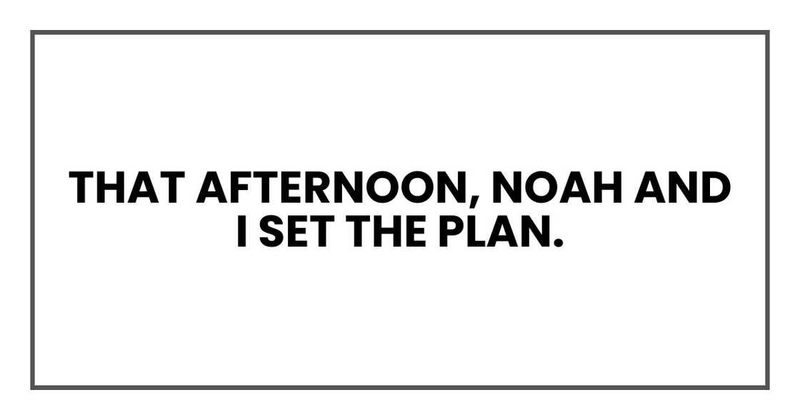 That afternoon, Noah and I set the plan. That afternoon, Noah and I set the plan.