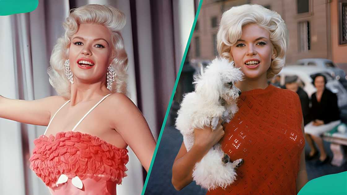 Jayne Mansfield posing for the camera in red outfits Jayne Mansfield posing for the camera in red outfits