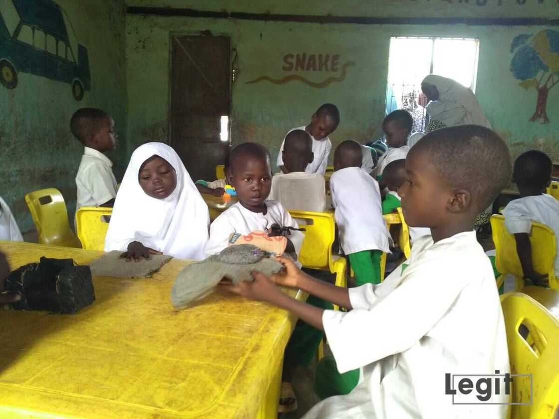 Early Childhood Education, Bodinga LGA, Sokoto state, eductaion in Niegria, children under 8 years old Early Childhood Education, Bodinga LGA, Sokoto state, eductaion in Niegria, children under 8 years old