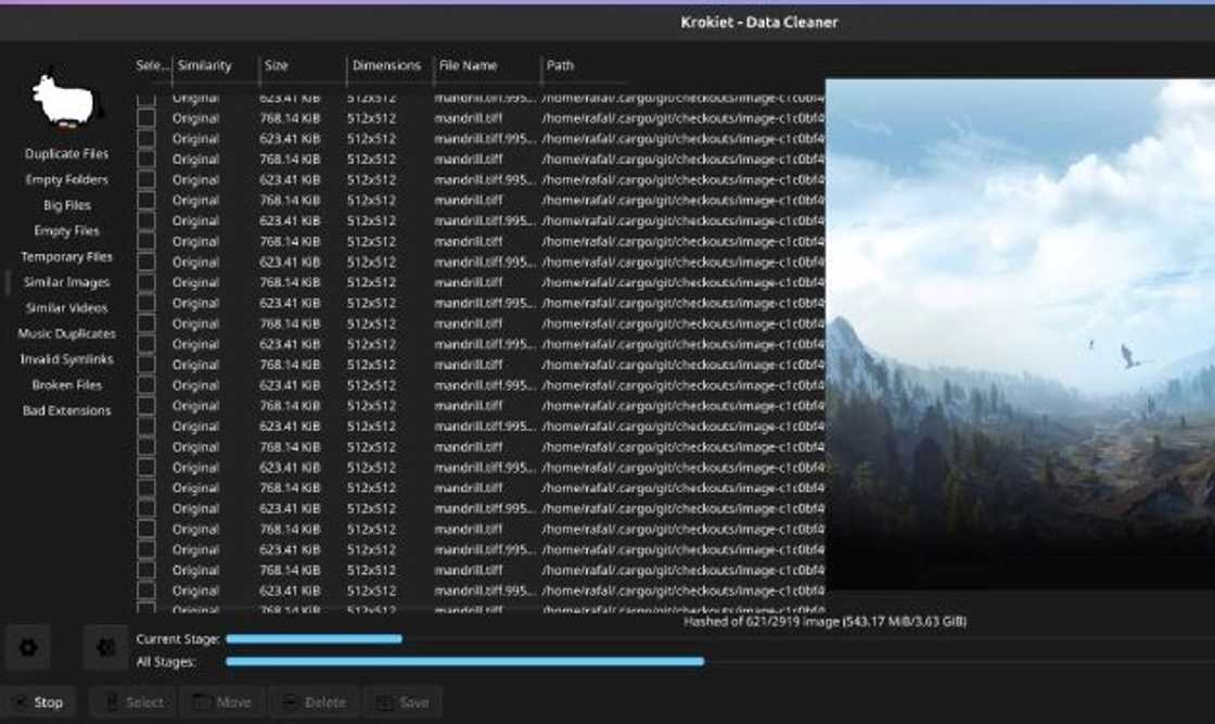 A screenshot of Czkawka 9.0 displaying files, folders, and available storage A screenshot of Czkawka 9.0 displaying files, folders, and available storage