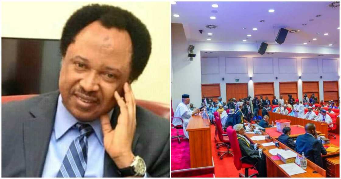 Shehu Sani reacts to senators enjoyment allowance/ Akpabio's blunder of senators enjoyment allowance