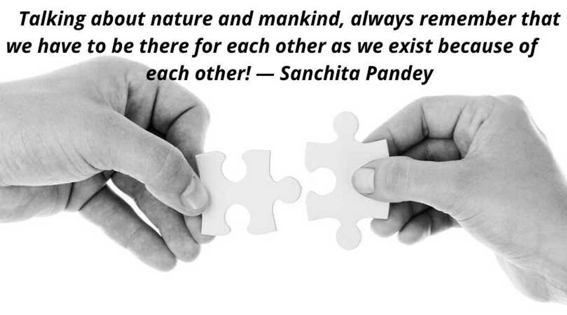 supporting quotes supporting quotes