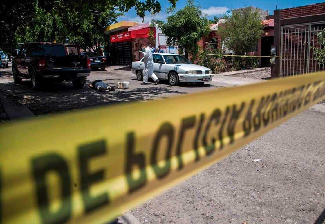 Que devient le cartel de Sinaloa, organisation criminelle mexicaine? Que devient le cartel de Sinaloa, organisation criminelle mexicaine?