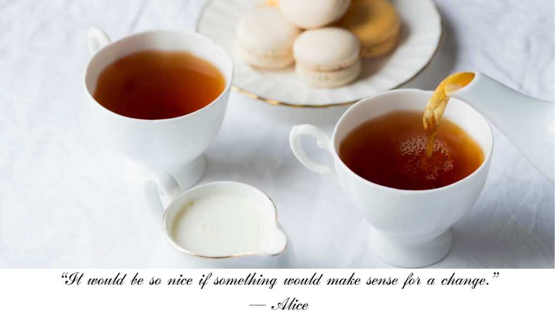 Alice in Wonderland tea party quotes Alice in Wonderland tea party quotes