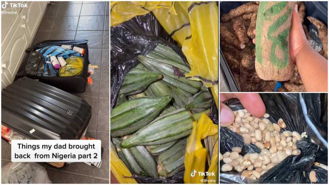 Nigerian food in UK/transporting provisions. Nigerian food in UK/transporting provisions.