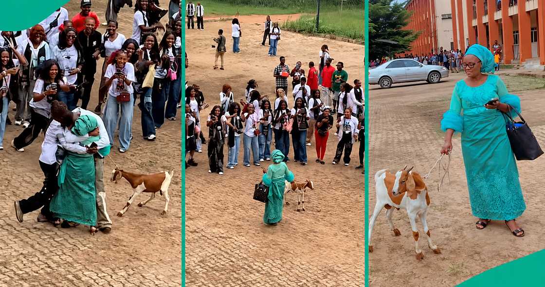 Nigerian mum brings live goat to her son's school on graduation day.