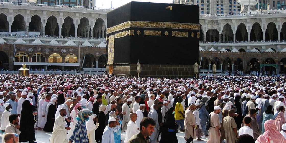 Aikin Hajji
Hakkin mallakar hoto; Jaridar Daily Trust Aikin Hajji
Hakkin mallakar hoto; Jaridar Daily Trust