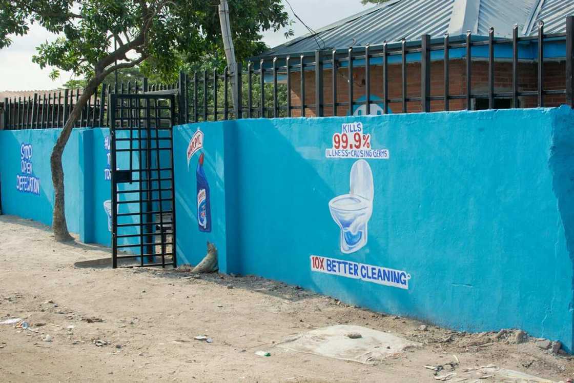 Harpic Collaborates with Federal Government, and Lagos State to Celebrate 2021 World Toilet Day