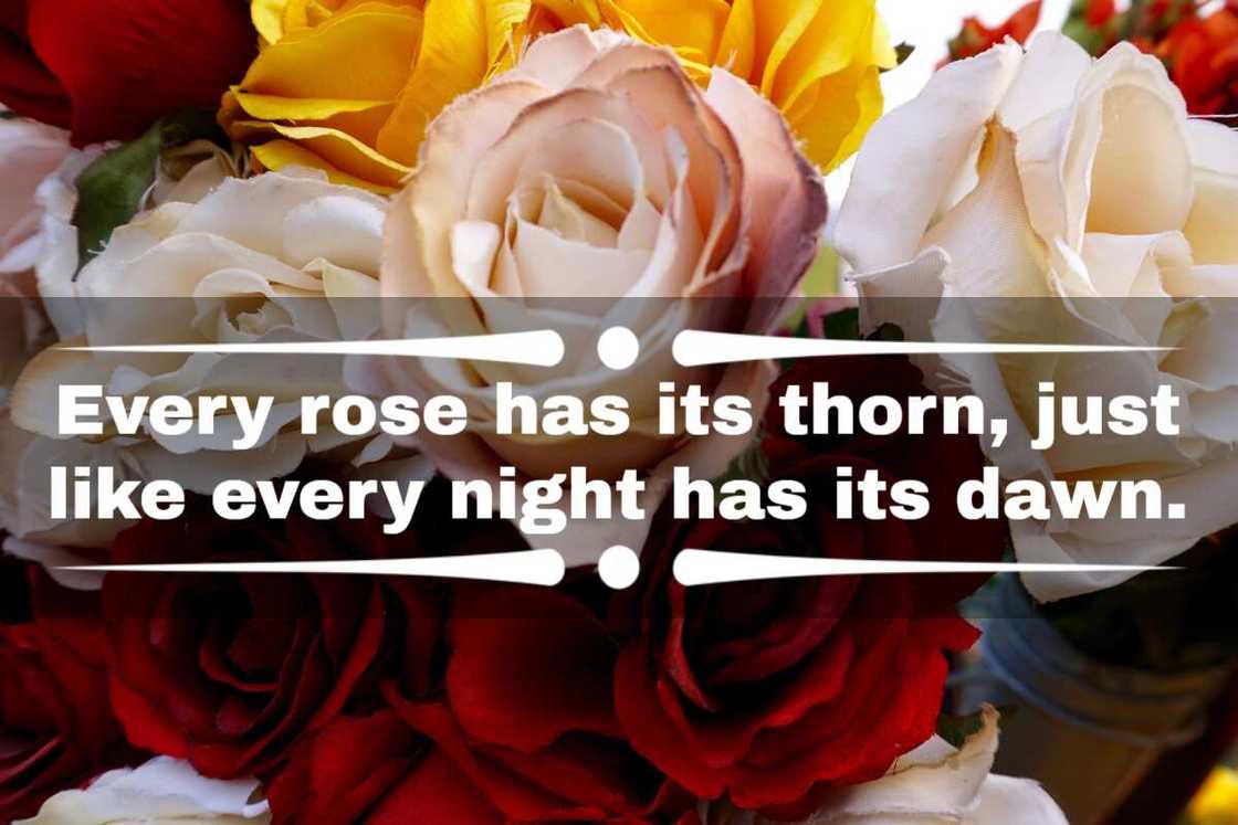 Rose quotes for her