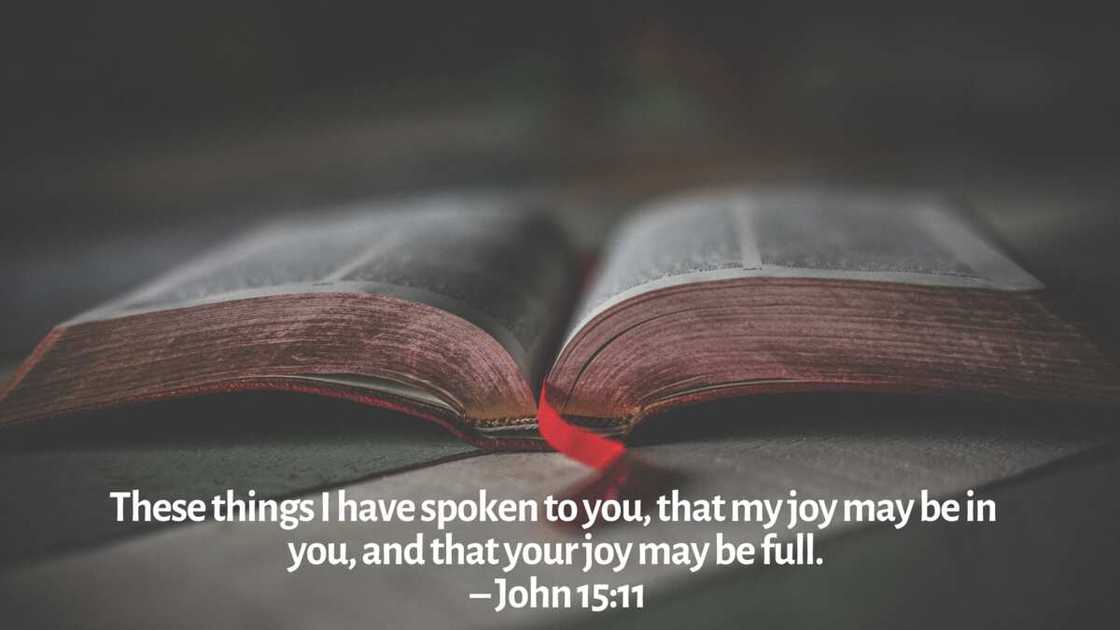 Top 20 Bible verses about joy Top 20 Bible verses about joy