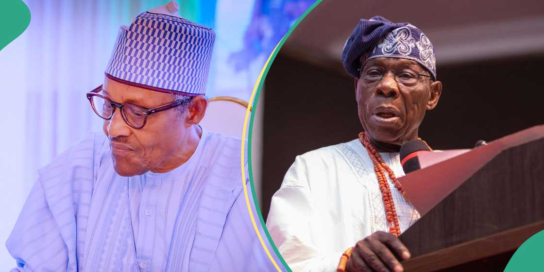 Ex-presidential aide explains reason Obasanjo heated Buhari Ex-presidential aide explains reason Obasanjo heated Buhari