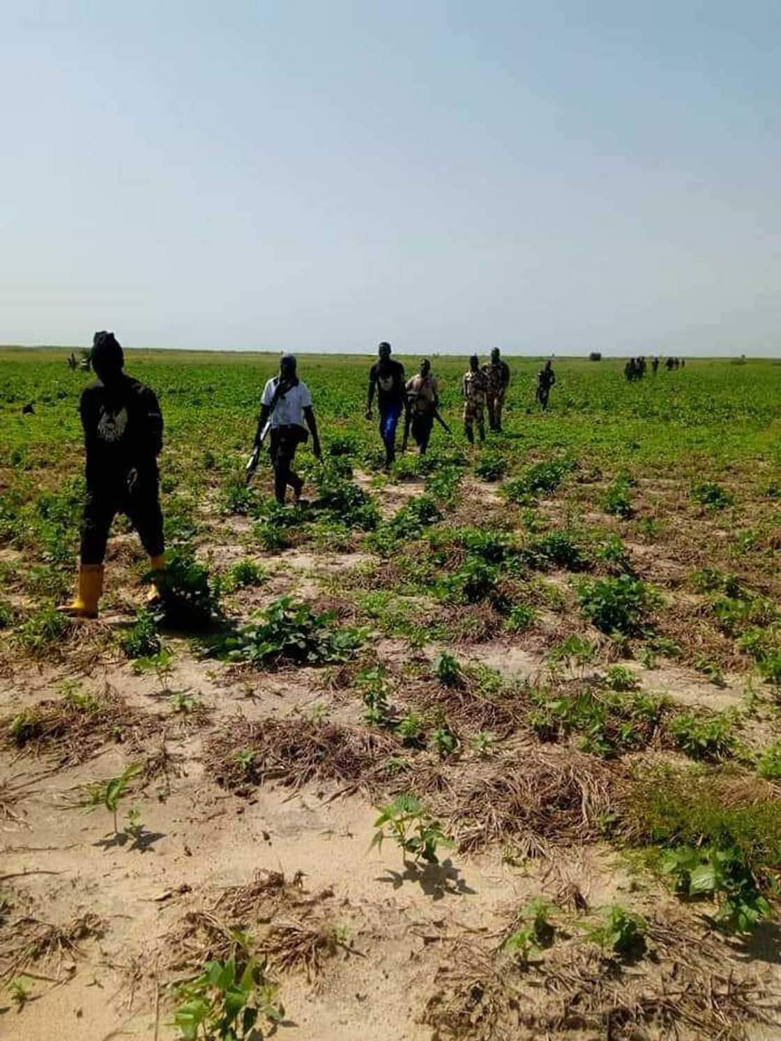 Rubdugu: Sojoji, 'Civilian JTF, maharba da 'Yansakai sun yi wa 'yan Boko Haram kaca-kaca a maboyarsu (Hotuna) Rubdugu: Sojoji, 'Civilian JTF, maharba da 'Yansakai sun yi wa 'yan Boko Haram kaca-kaca a maboyarsu (Hotuna)