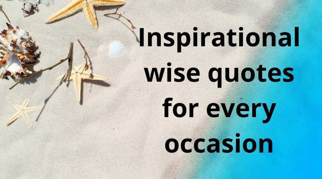 wise quotes wise quotes