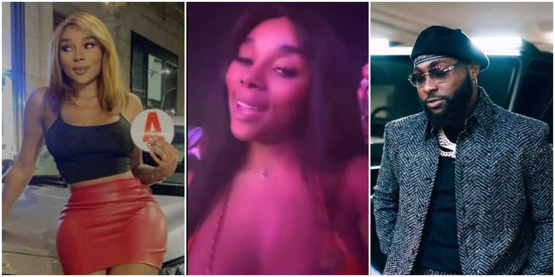 Davido's French baby mama, Davido's French baby mama at his concert in Portugal, Davido