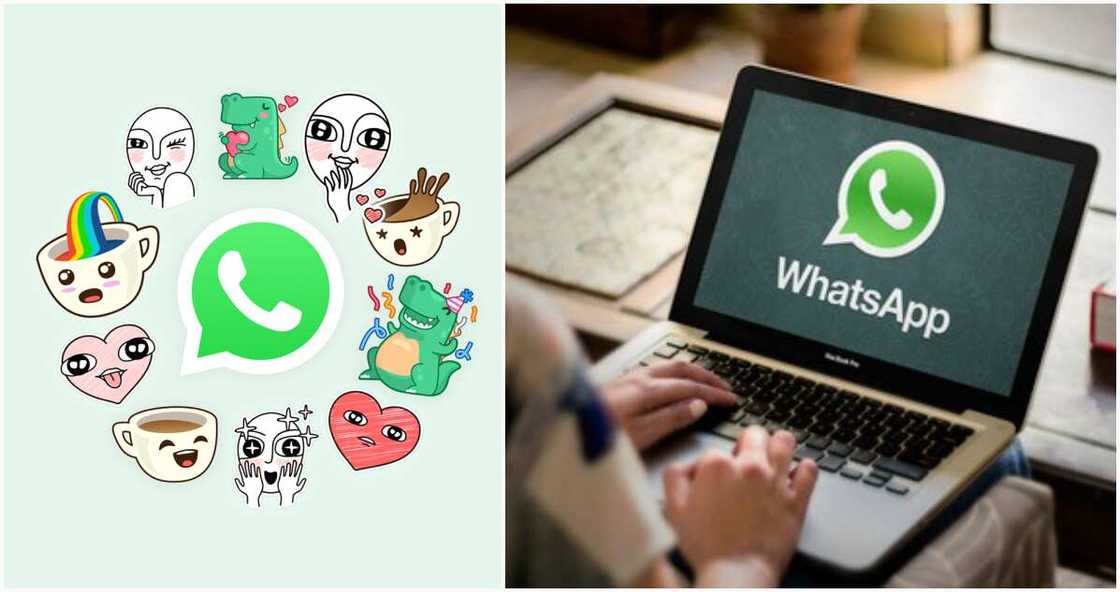 How to install WhatsApp on PC