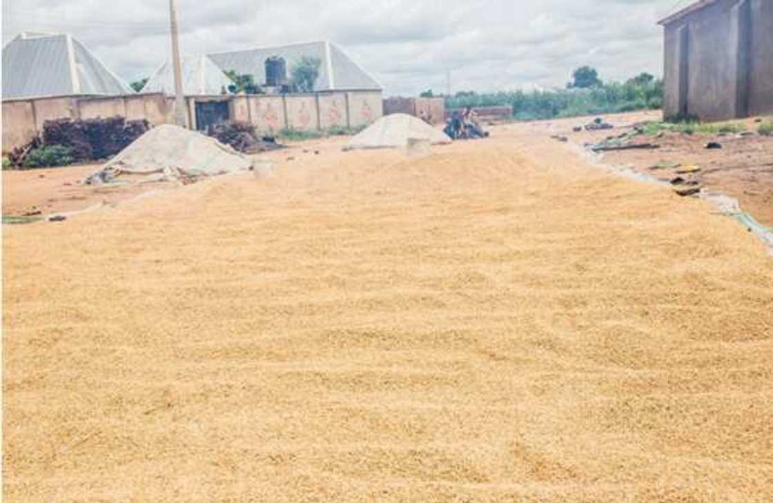 The North Is Richer Than The South by Sujimoto Sokoto State: The Hidden Gem The North Is Richer Than The South by Sujimoto Sokoto State: The Hidden Gem