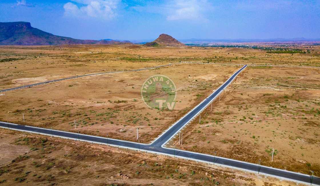 Wani sashe na gandun masa'na'atun Muhammadu Buhari