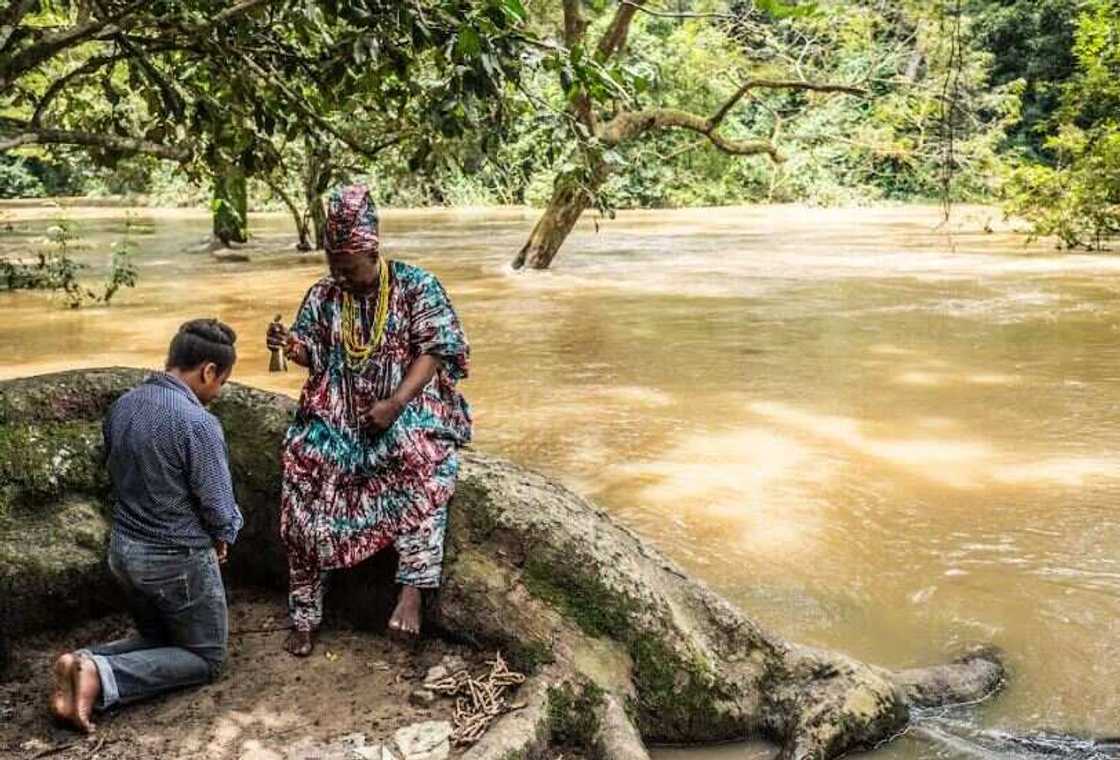 Google Arts & Culture, CyArk and Adunni Olorisha Trust partner to digitally preserve Osun Osogbo Sacred Grove