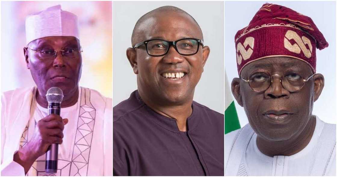 Bola Tinubu, Atiku Abubakar, Peter Obi, election tribunal