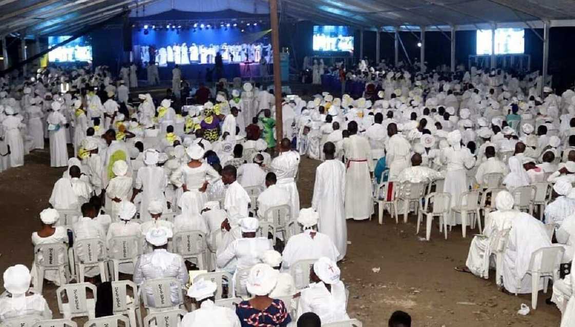 Fashi da makami Fashi da makami