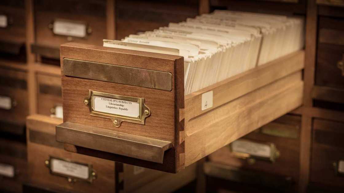 Uses of library catalogue students should know Legit.ng